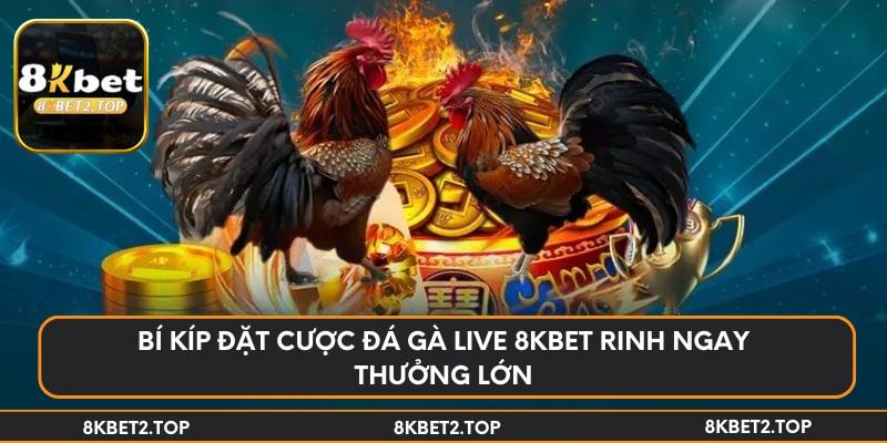 Bí kíp đặt cược đá gà live 8KBet rinh ngay thưởng lớn