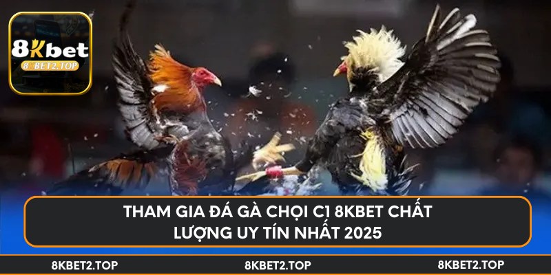 Tham gia đá gà chọi c1 8KBet chất lượng uy tín nhất 2025